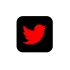Twitter Affordable Best Freelance Digital Marketing Strategist In Kannur